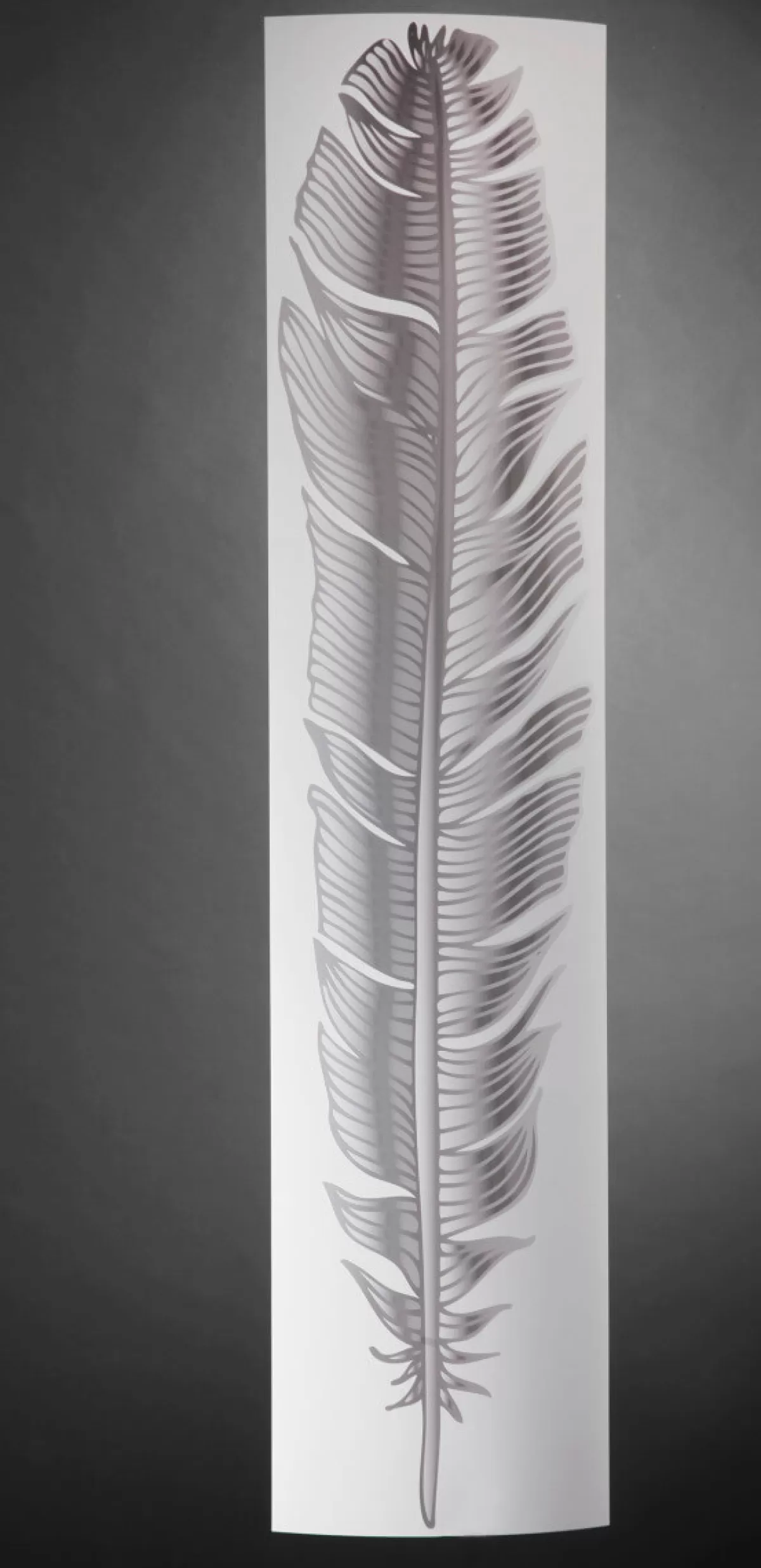 Best Sale DecoWoerner Folien-Banner Feder, 139 Cm Lang transparent