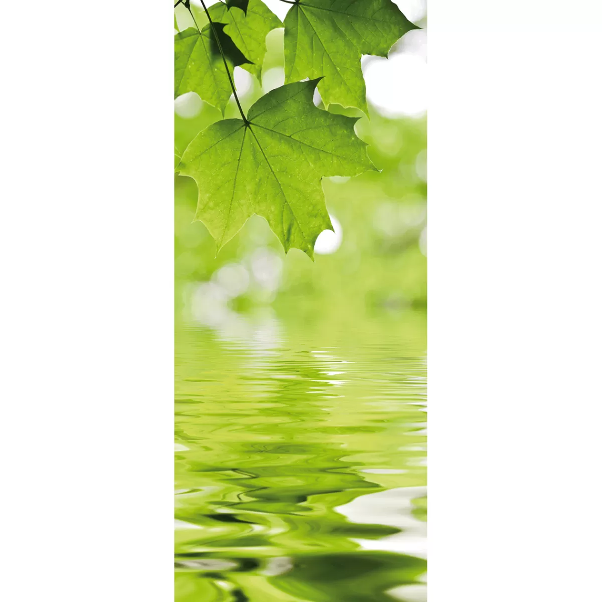 Cheap DecoWoerner Schwer Entflammbarer Stoffbanner „Ahornblätter Und Wasser“ Aus Fahnenstoff 75 X 180 Cm grün