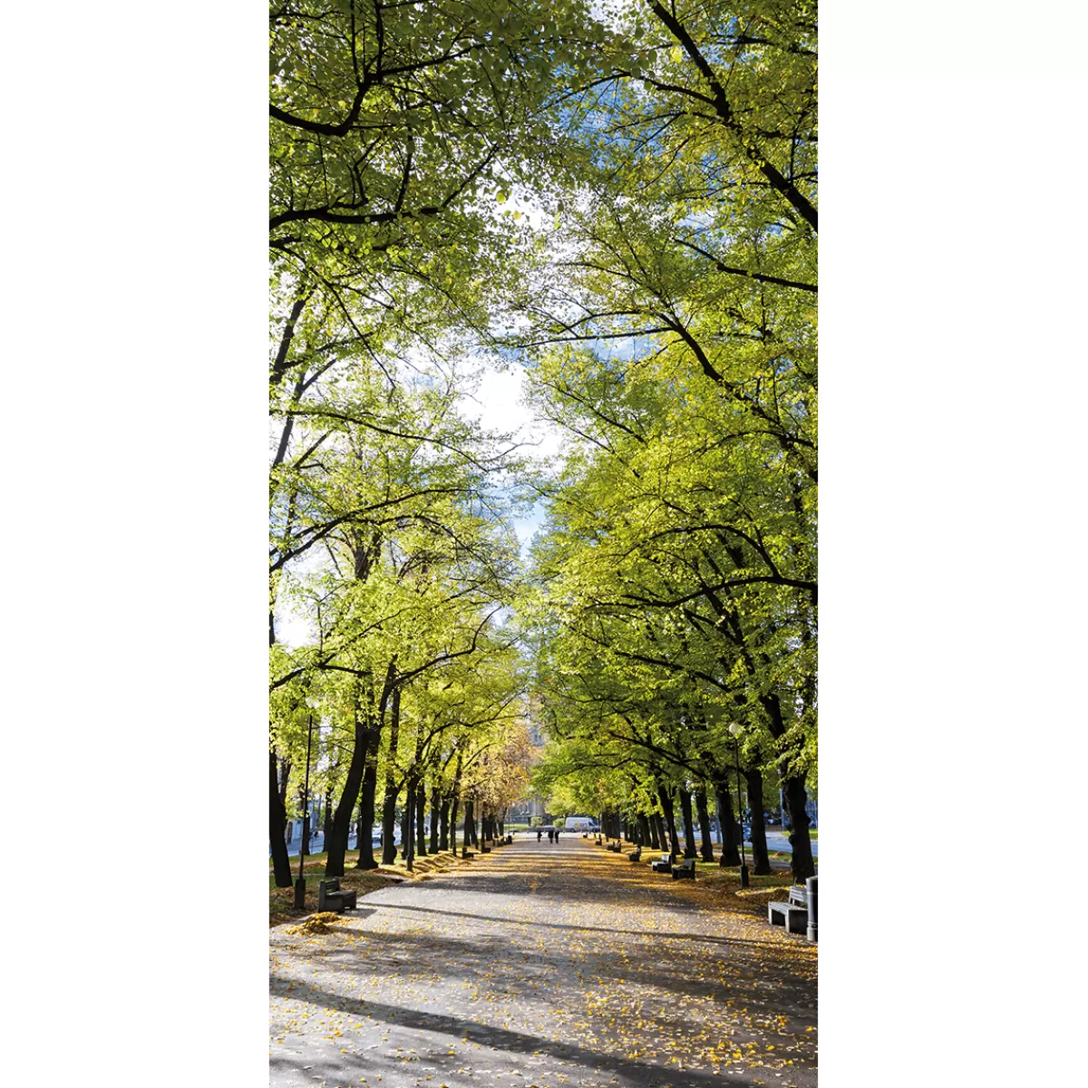 Shop DecoWoerner Schwer Entflammbarer Stoffbanner „Allee Im Park“ Aus Fahnenstoff 100 X 200 Cm grün