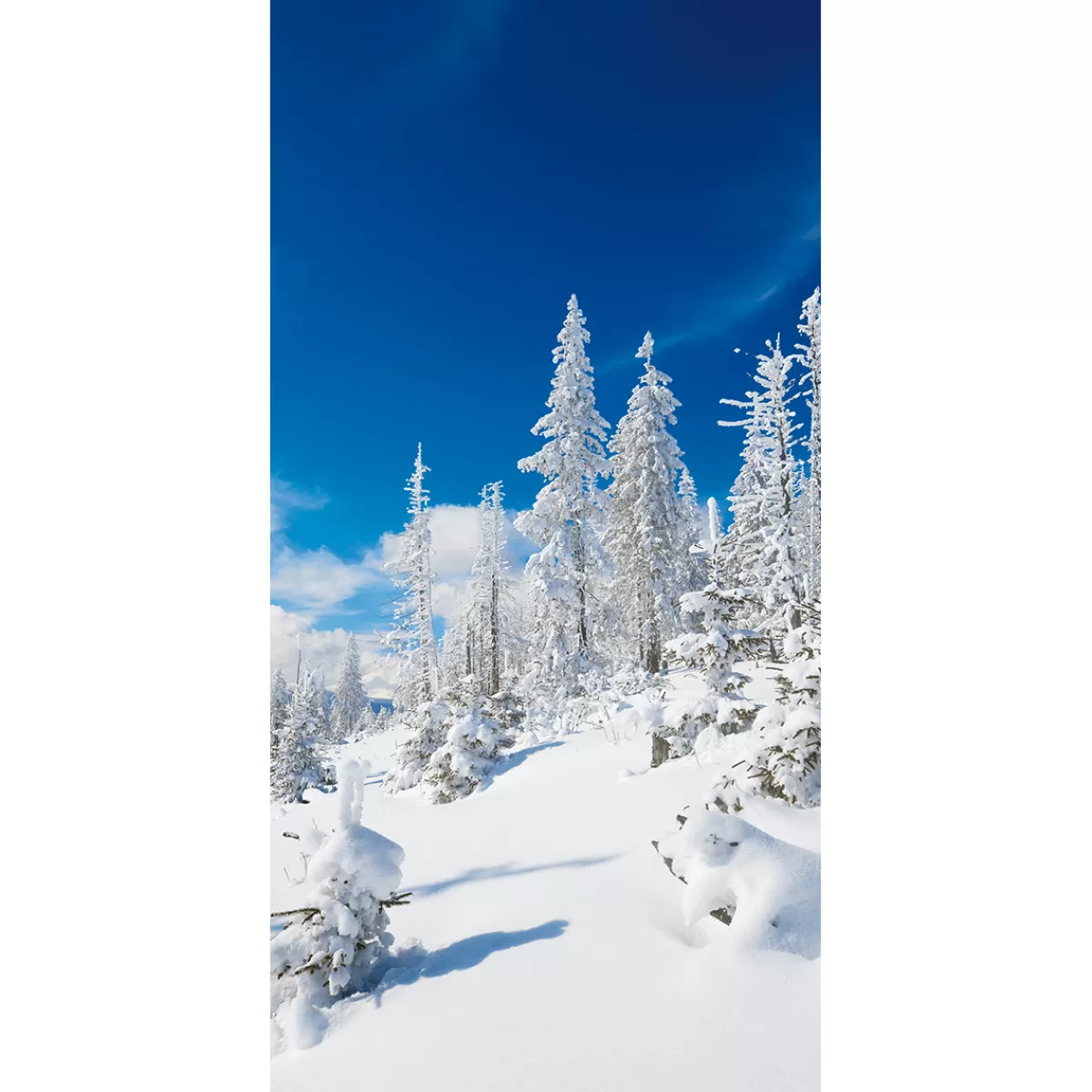 Fashion DecoWoerner Schwer Entflammbarer Stoffbanner "Beschneite Wintertannen" Aus Fahnenstoff 100 X 200 Cm weiß
