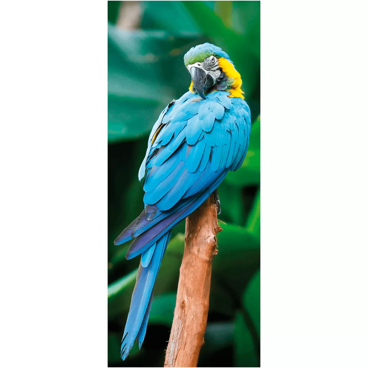 Hot DecoWoerner Schwer Entflammbarer Stoffbanner "er Ara Papagei" Aus Fahnenstoff 75 X 180 Cm blau