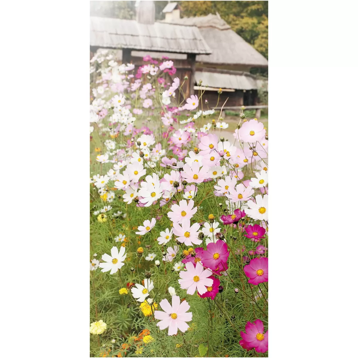 Sale DecoWoerner Schwer Entflammbarer Stoffbanner "Blumenwiese" Aus Fahnenstoff 100 X 200 Cm rosa