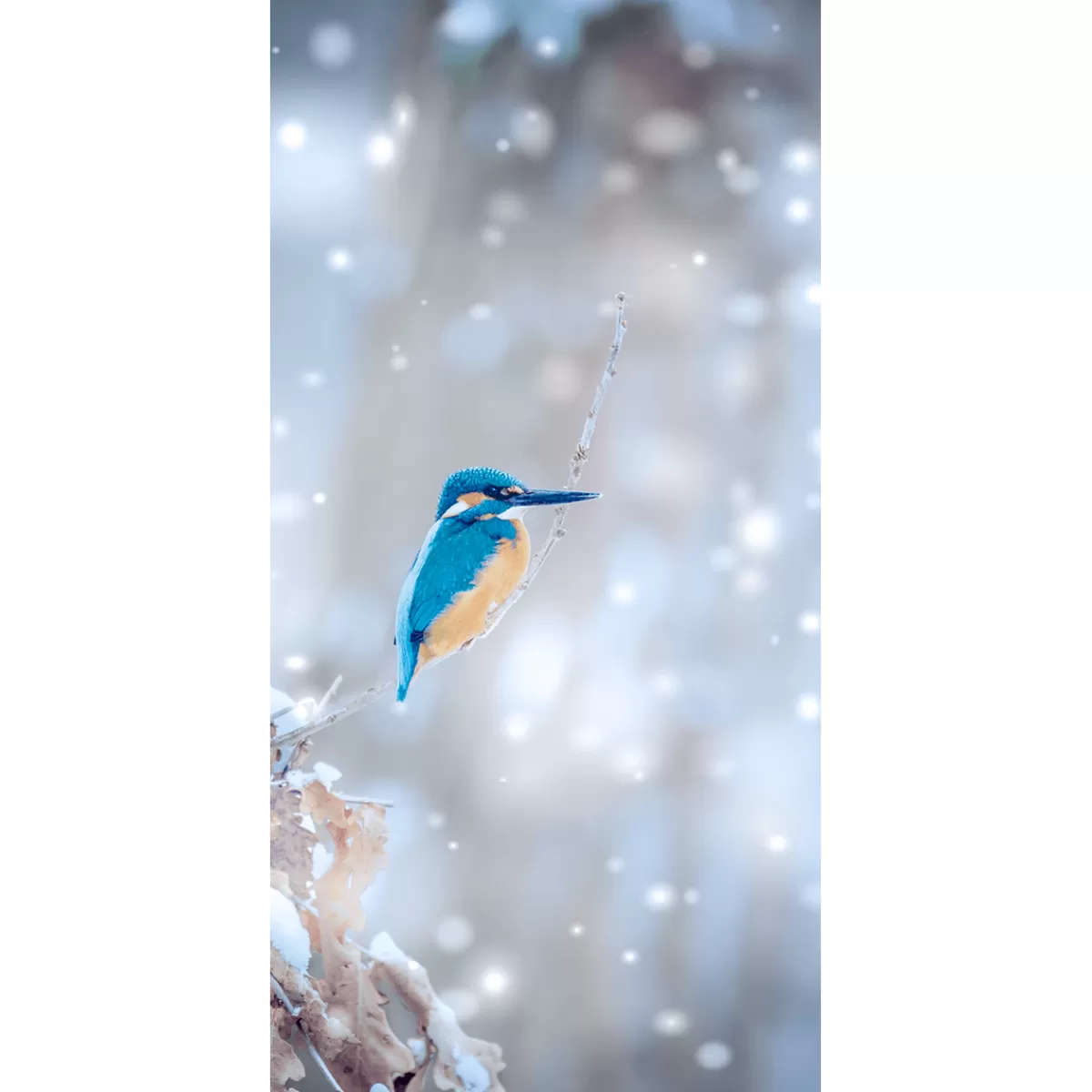 Discount DecoWoerner Schwer Entflammbarer Stoffbanner "Eisvogel" Aus Fahnenstoff 100 X 200 Cm blau