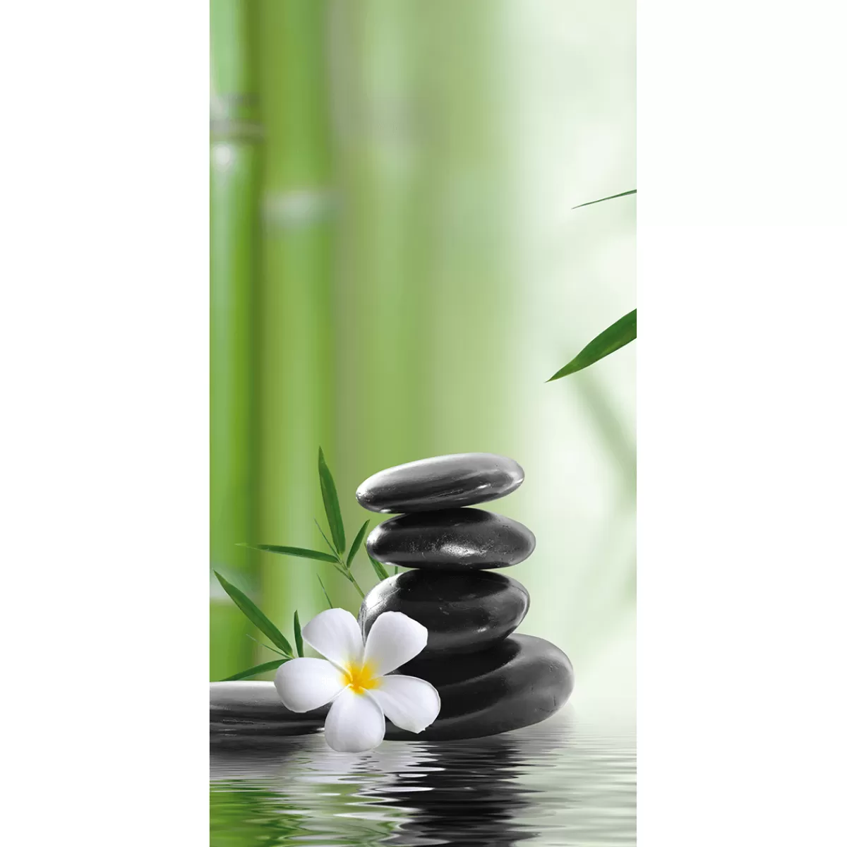 Discount DecoWoerner Schwer Entflammbarer Stoffbanner "Entspannung Und Wellness" Aus Fahnenstoff 100 X 200 Cm grün