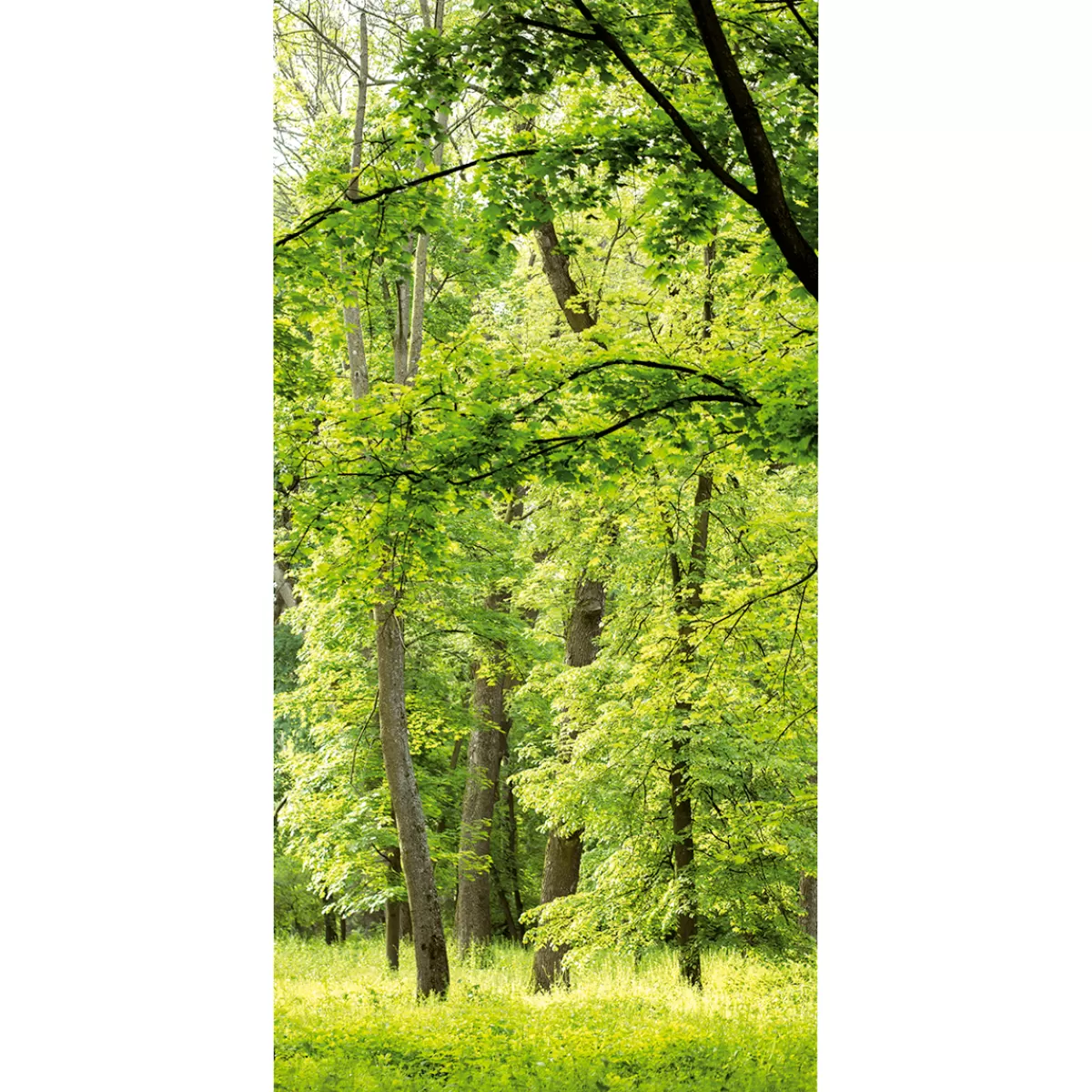 Shop DecoWoerner Schwer Entflammbarer Stoffbanner "Frühlingswald" Aus Fahnenstoff 100 X 200 Cm grün