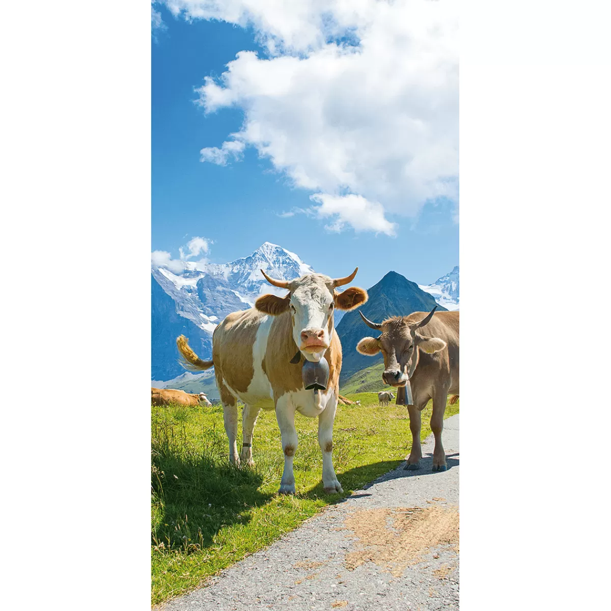 Best DecoWoerner Schwer Entflammbarer Stoffbanner „glückliche Milch-Kühe In Den Alpen“ Aus Fahnenstoff 100 X 200 Cm braun