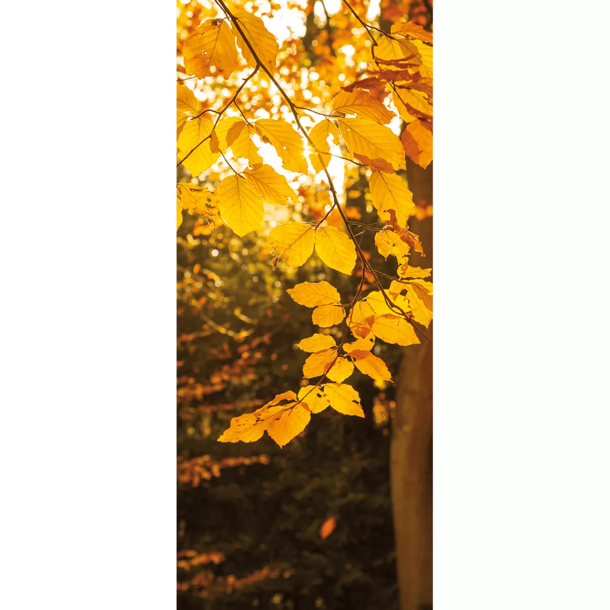 Online DecoWoerner Schwer Entflammbarer Stoffbanner "Goldene Blätter" Aus Fahnenstoff 75 X 180 Cm gelb