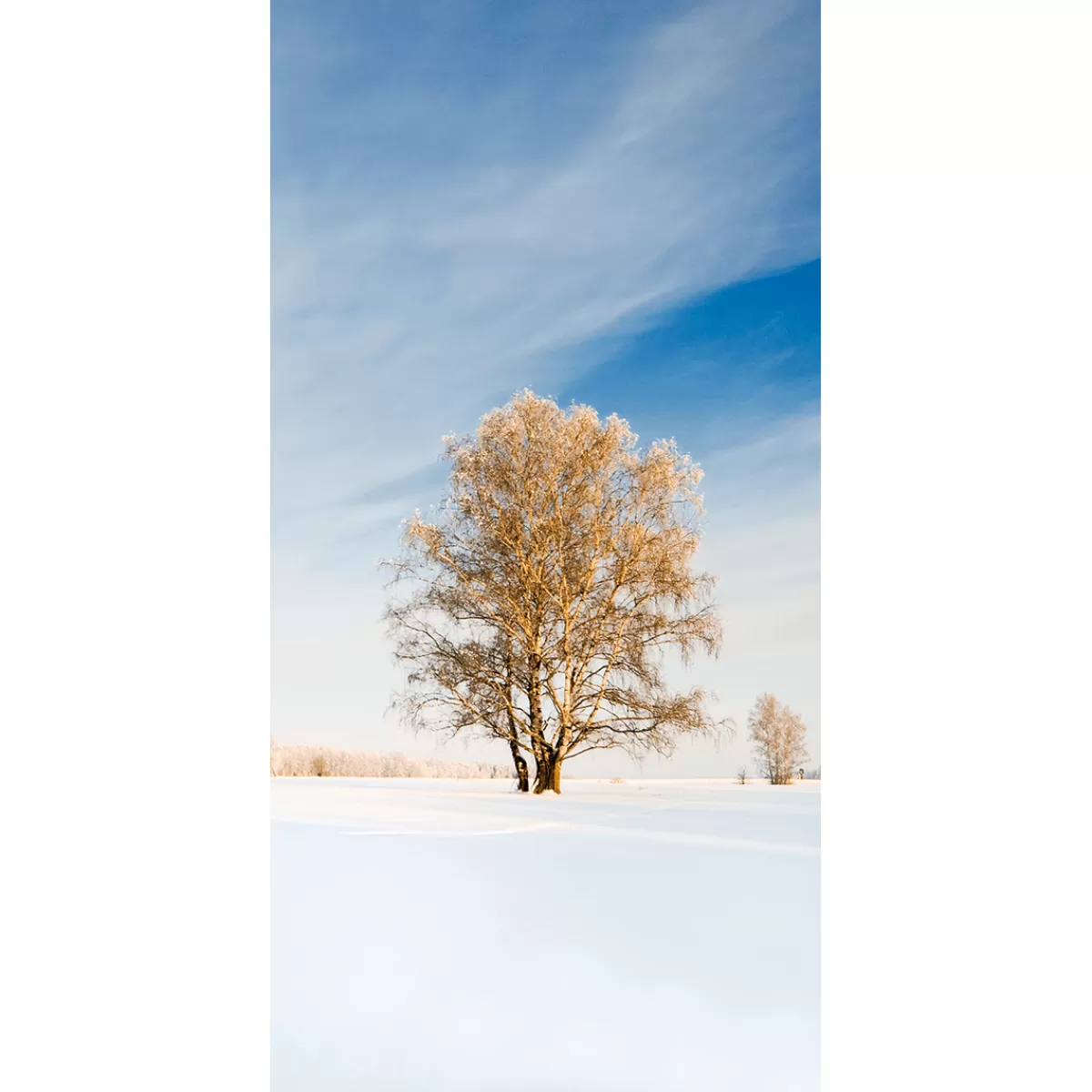 Sale DecoWoerner Schwer Entflammbarer Stoffbanner "Goldener Winterbaum" Aus Fahnenstoff 100 X 200 Cm weiß