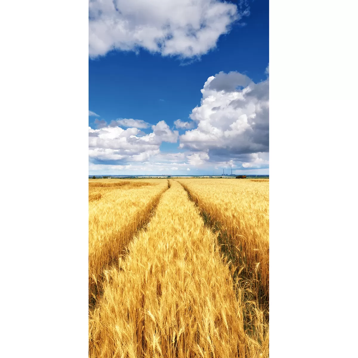New DecoWoerner Schwer Entflammbarer Stoffbanner „goldenes Kornfeld Unter Blauem Himmel“ Aus Fahnenstoff 100 X 200 Cm gelb