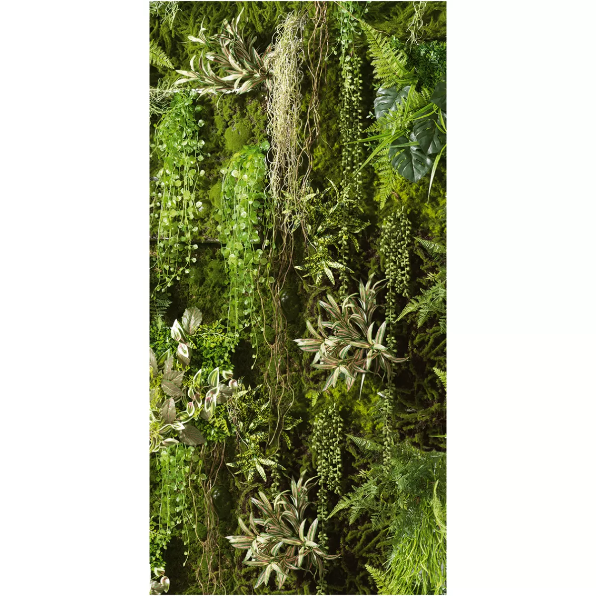 Clearance DecoWoerner Schwer Entflammbarer Stoffbanner "e Pflanzenwand" Aus Fahnenstoff 100 X 200 Cm grün