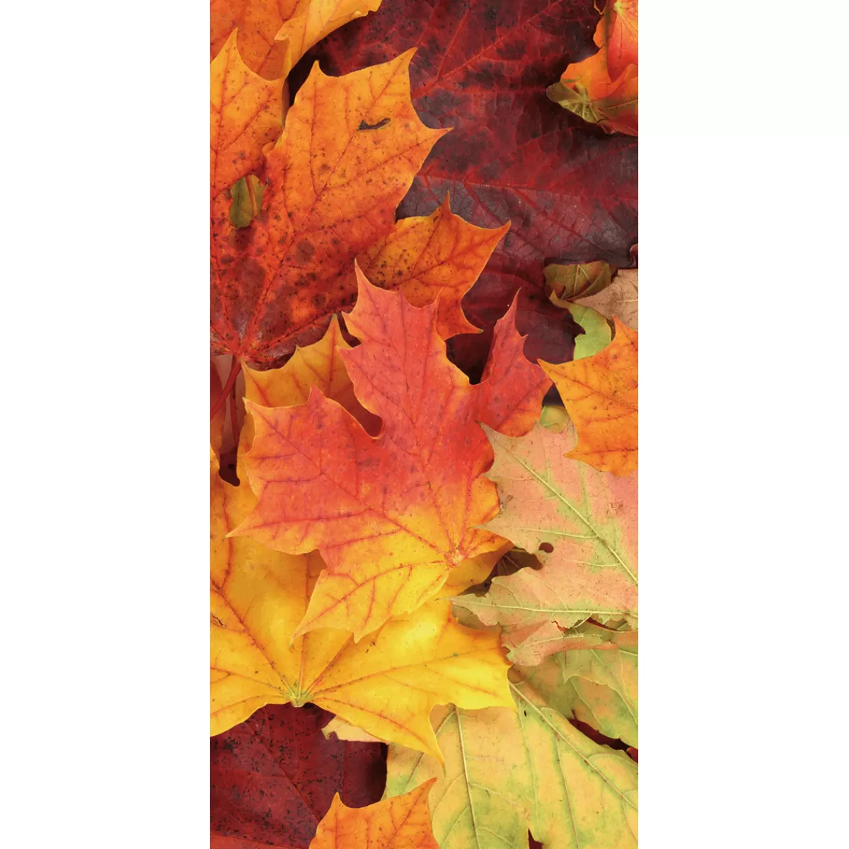 Clearance DecoWoerner Schwer Entflammbarer Stoffbanner "Herbstlaub" Aus Fahnenstoff 100 X 200 Cm orange