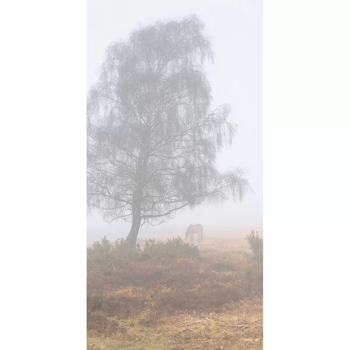 Clearance DecoWoerner Schwer Entflammbarer Stoffbanner "Herbstnebel" Aus Fahnenstoff 100 X 200 Cm Grau