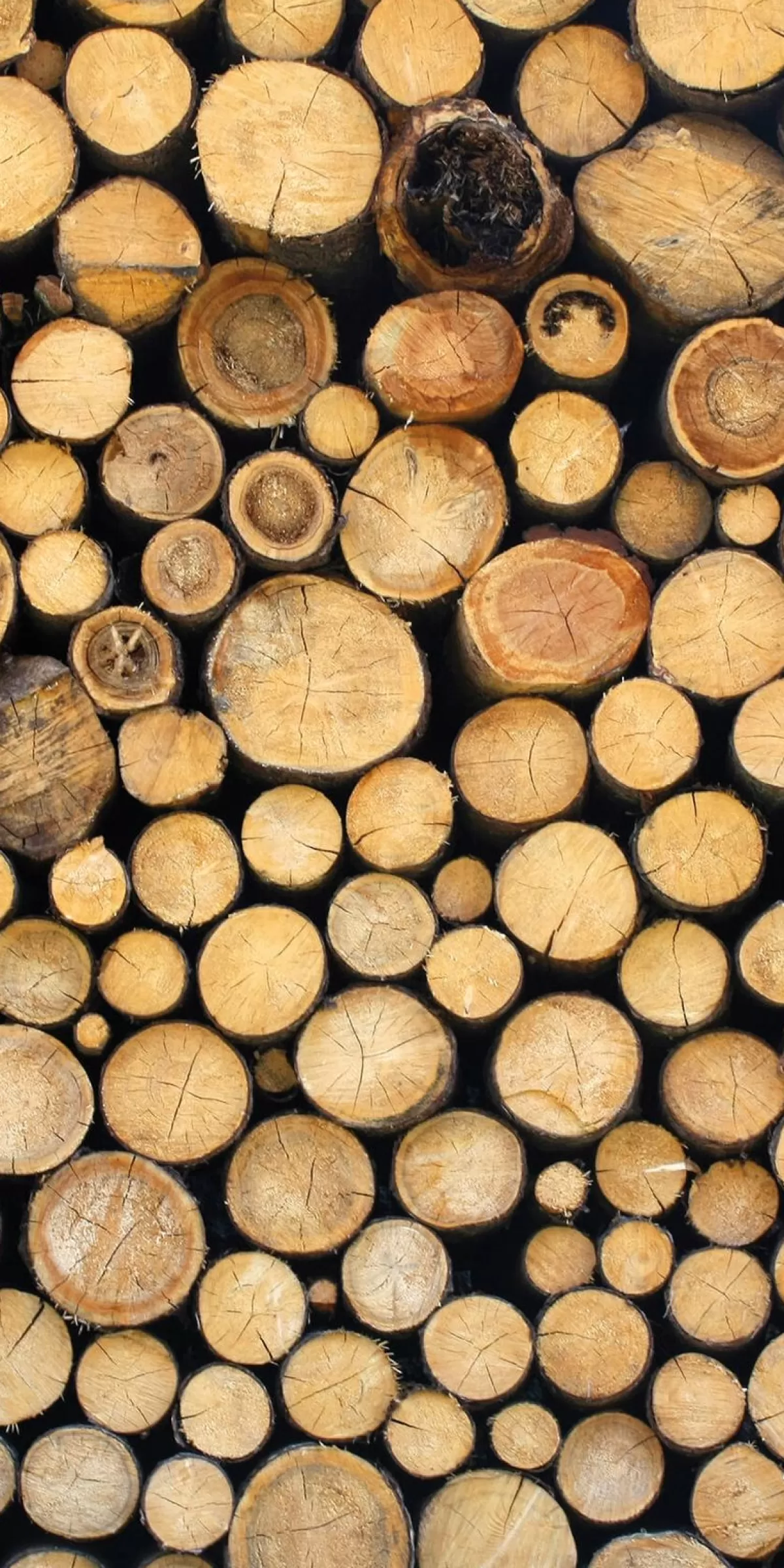 Shop DecoWoerner Schwer Entflammbarer Stoffbanner "Holzstapel" Aus Fahnenstoff 100 X 200 Cm braun