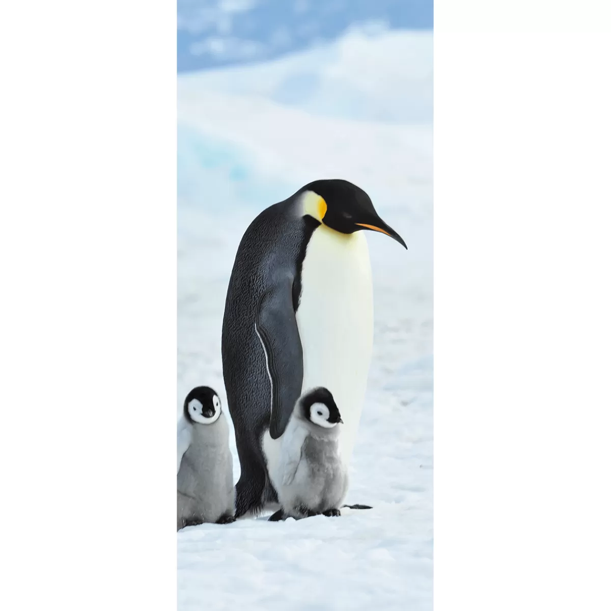 Clearance DecoWoerner Schwer Entflammbarer Stoffbanner "Kaiserpinguin-Familie" Aus Fahnenstoff 75 X 180 Cm schwarz