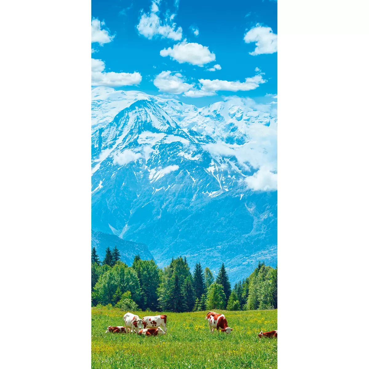 Shop DecoWoerner Schwer Entflammbarer Stoffbanner „Kühe Auf Der Weide Vor Bergen“ Aus Fahnenstoff 100 X 200 Cm blau