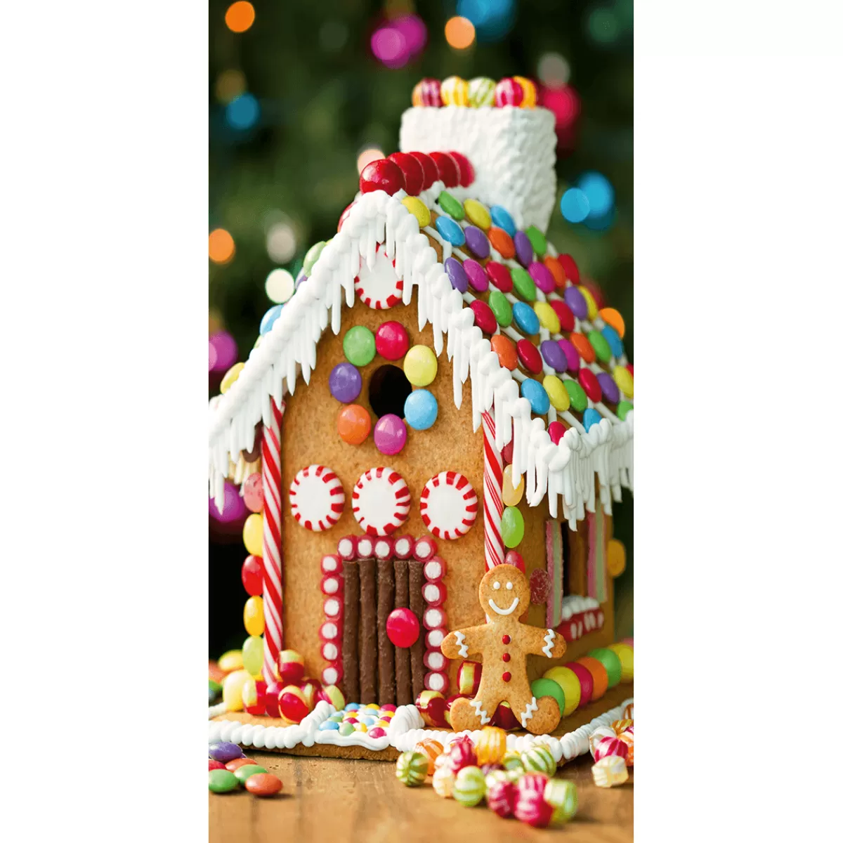 Shop DecoWoerner Schwer Entflammbarer Stoffbanner "Lebkuchenhaus" Aus Fahnenstoff 100 X 200 Cm braun