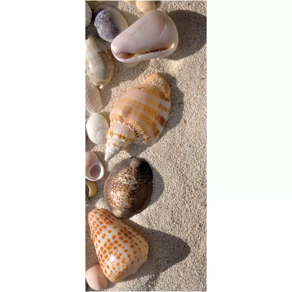 Store DecoWoerner Schwer Entflammbarer Stoffbanner "Muscheln Im Sand" Aus Fahnenstoff 75 X 180 Cm braun
