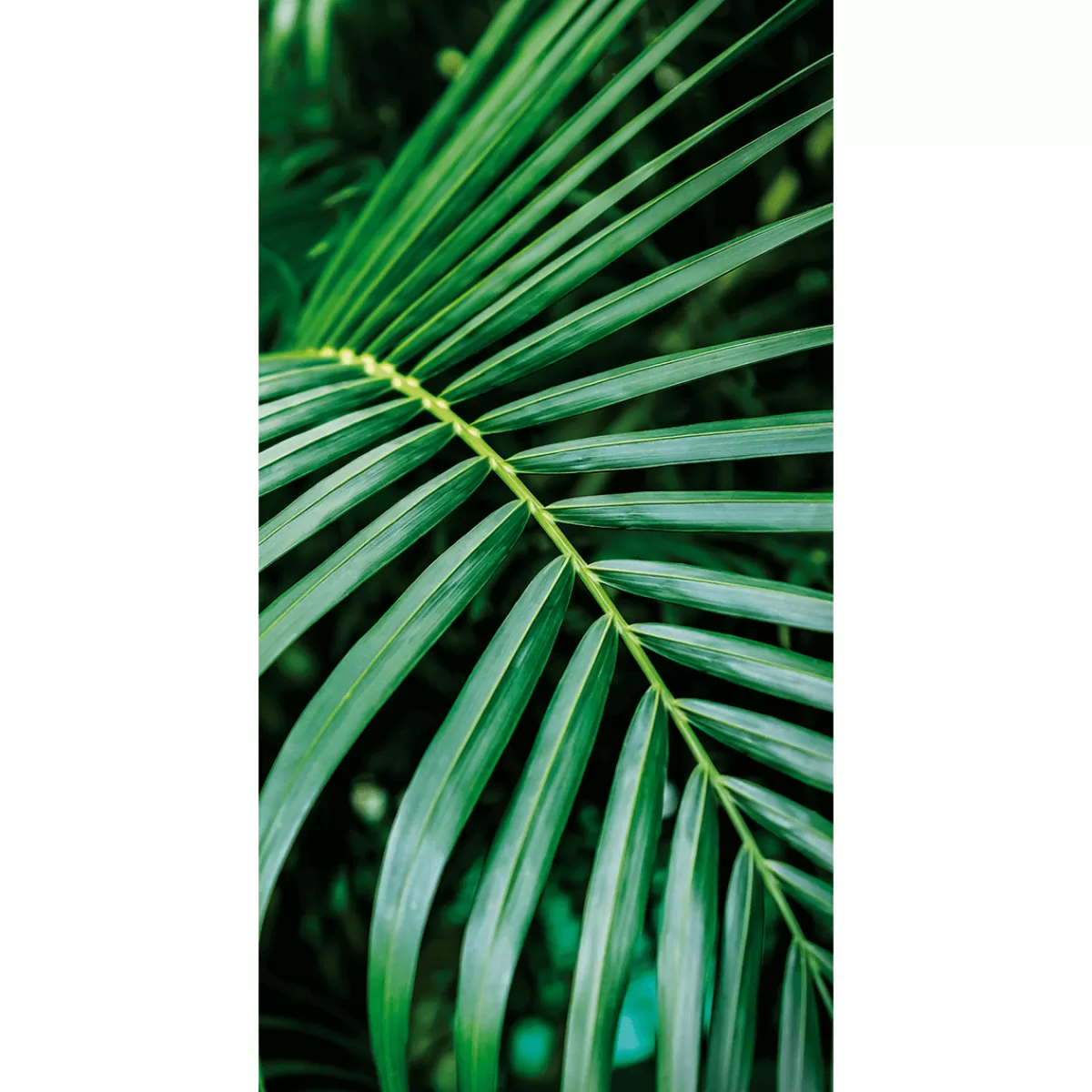 Fashion DecoWoerner Schwer Entflammbarer Stoffbanner "Palmwedel" Aus Fahnenstoff 100 X 200 Cm grün