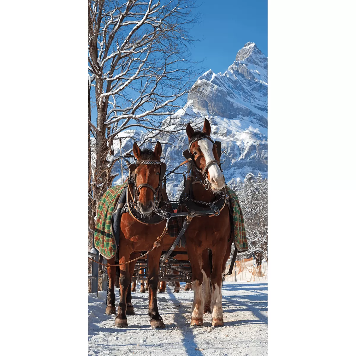 Clearance DecoWoerner Schwer Entflammbarer Stoffbanner Pferdekutsche Im Schnee Aus Fahnenstoff 100 X 200 Cm braun