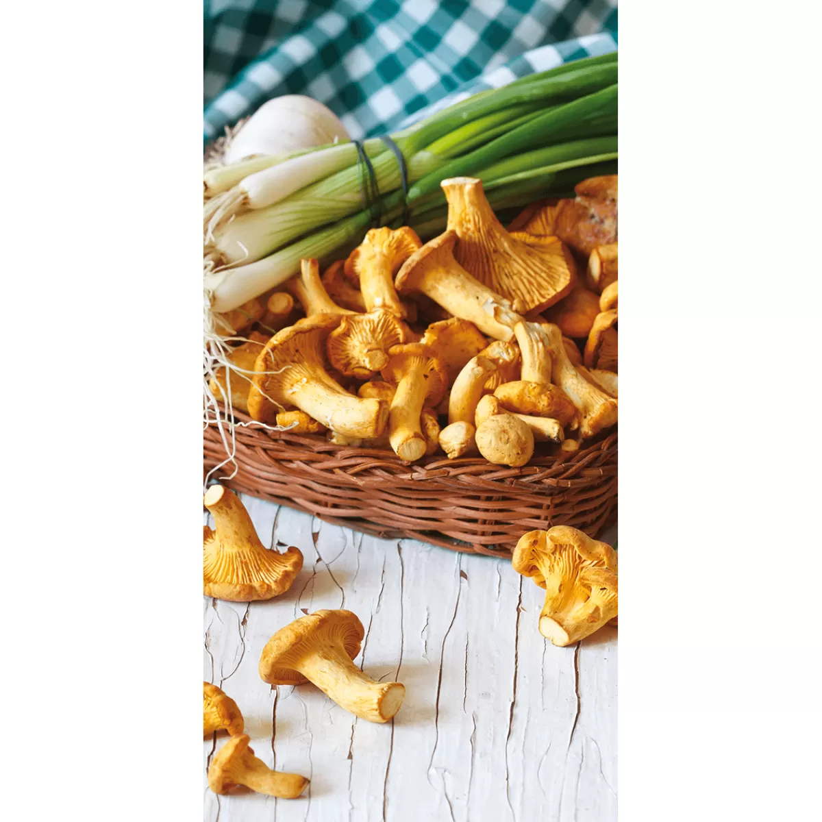 Outlet DecoWoerner Schwer Entflammbarer Stoffbanner "Pfifferling-Pilze" Aus Fahnenstoff 100 X 200 Cm gelb