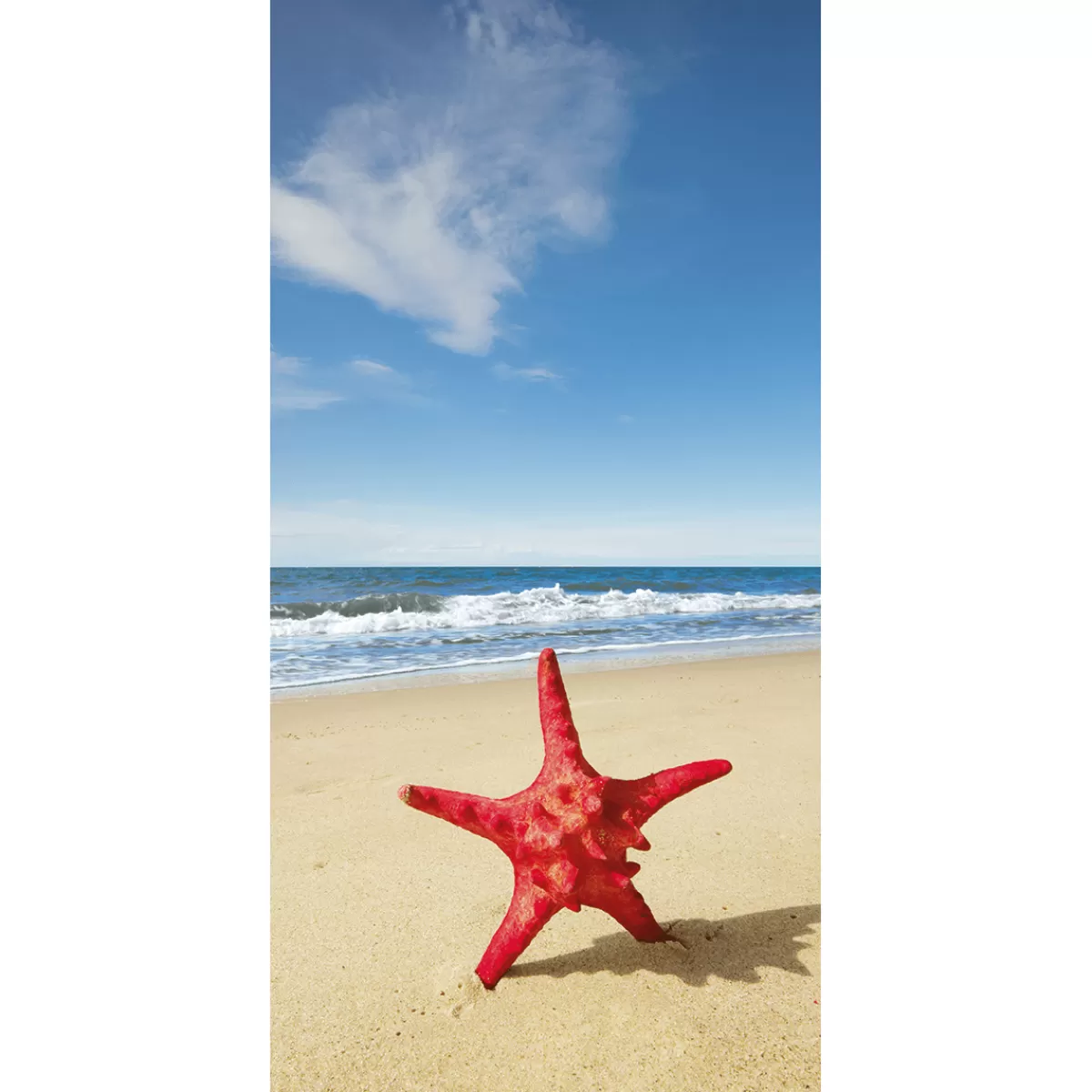 Store DecoWoerner Schwer Entflammbarer Stoffbanner „er Seestern Am Meer“ Aus Fahnenstoff 100 X 200 Cm rot