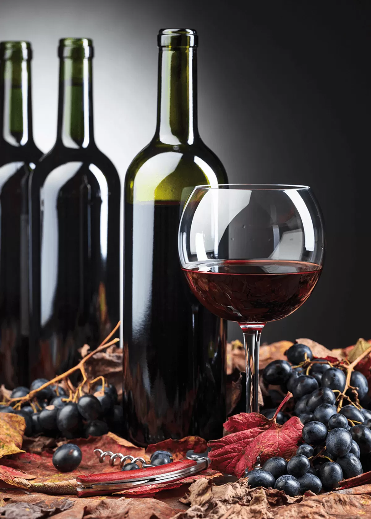 Online DecoWoerner Schwer Entflammbarer Stoffbanner "Rotwein" Aus Fahnenstoff 100 X 140 Cm schwarz