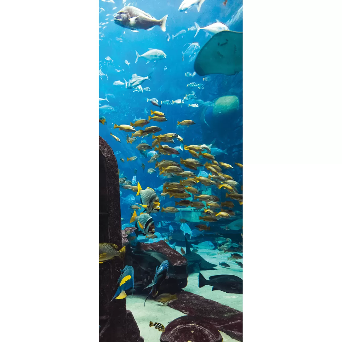 Flash Sale DecoWoerner Schwer Entflammbarer Stoffbanner „Unterwasserlandschaft Im Aquarium“ Aus Fahnenstoff 75 X 180 Cm blau