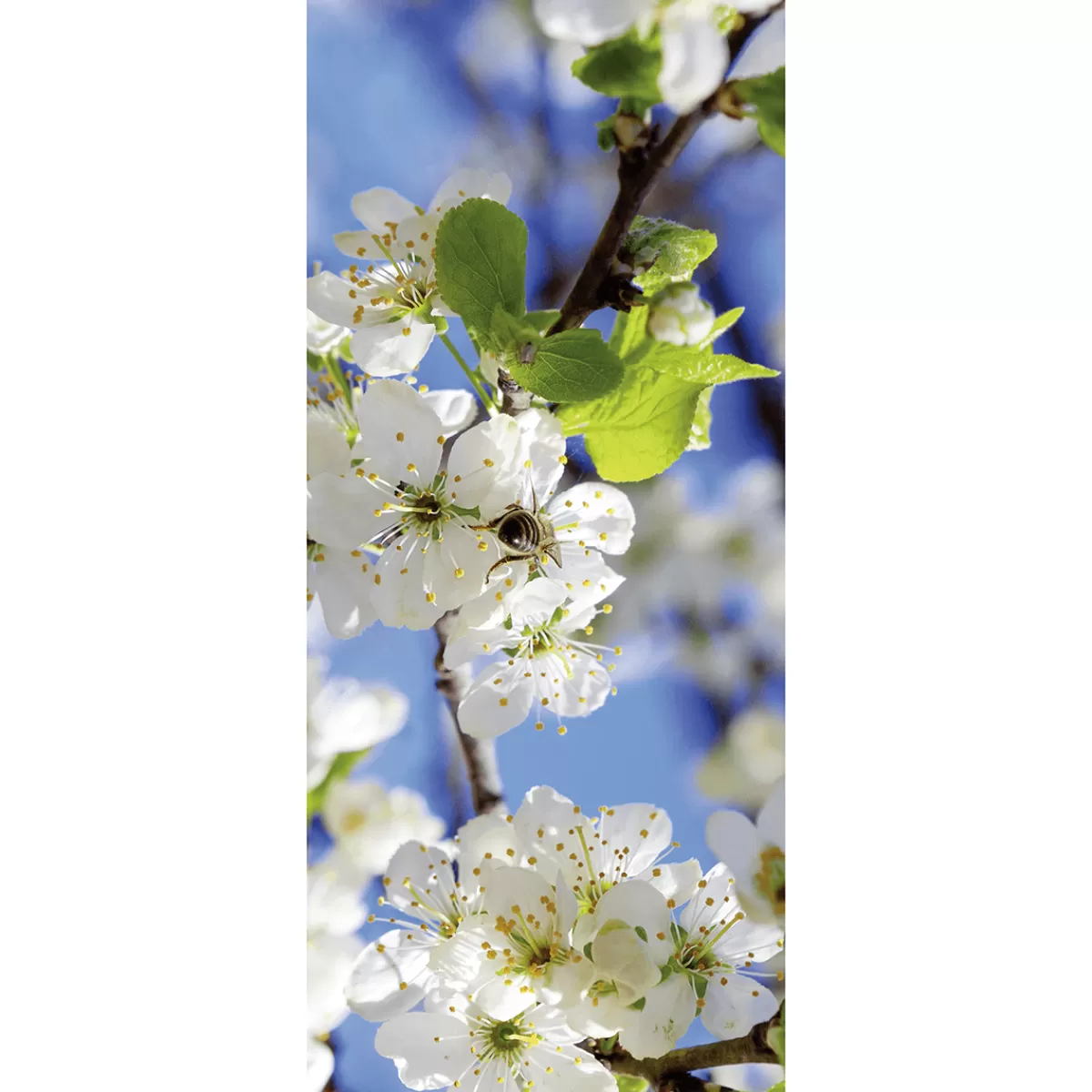 Flash Sale DecoWoerner Schwer Entflammbarer Stoffbanner „e Apfelblüten Mit Biene“ Aus Fahnenstoff 75 X 180 Cm weiß