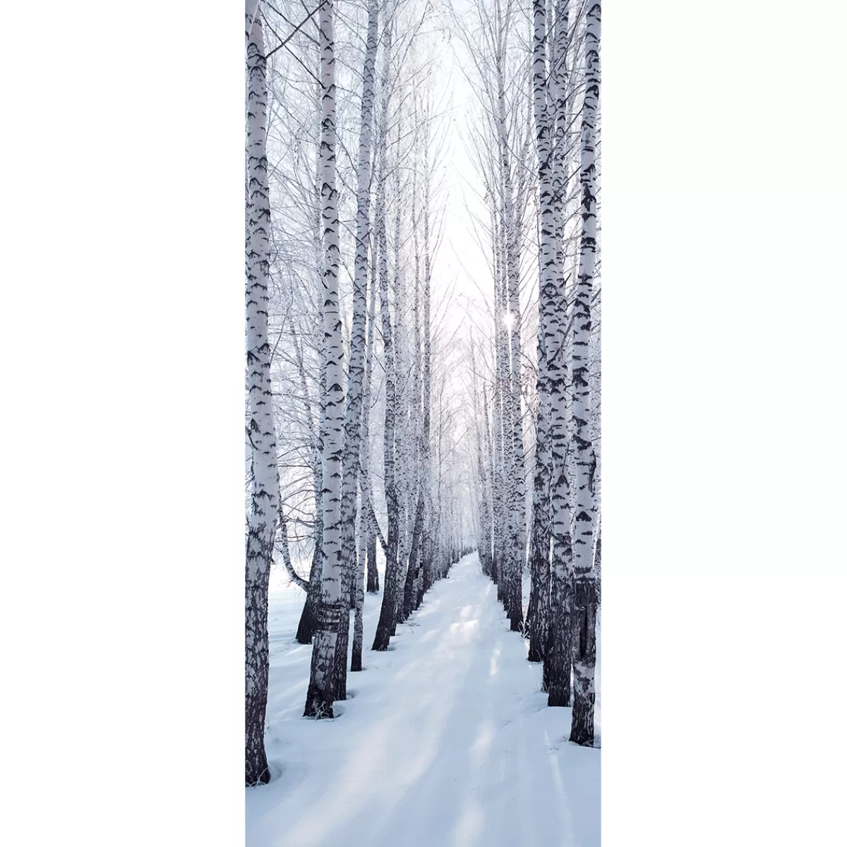 Hot DecoWoerner Schwer Entflammbarer Stoffbanner "Winterbirkenallee" Aus Fahnenstoff 75 X 180 Cm weiß