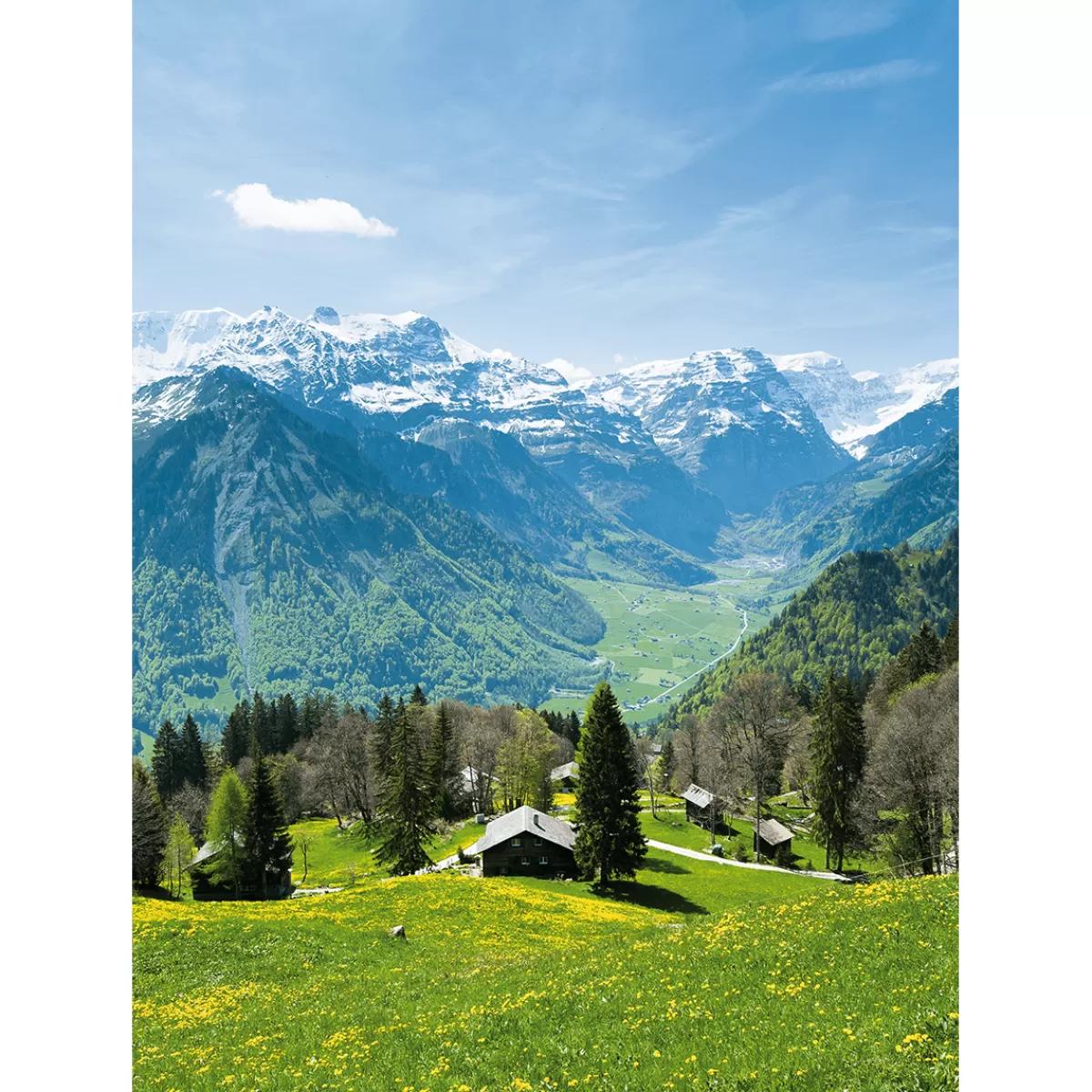 Outlet DecoWoerner XL-Stoffbanner "Alpenwiese Mit Alm" Aus Schwer Entflammbarem Fahnenstoff 150 X 200 Cm grün