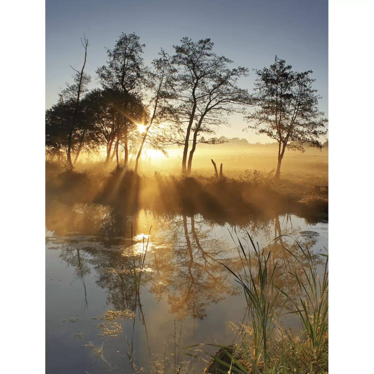 Sale DecoWoerner XL-Stoffbanner "Herbstnebel" Aus Schwer Entflammbarem Fahnenstoff 150 X 200 Cm