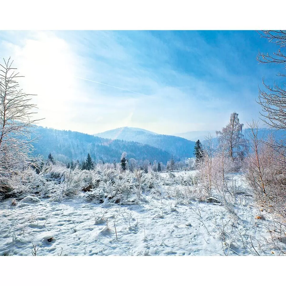 Sale DecoWoerner XXL-Planenbanner "Winterlandschaft" Aus Schwer Entflammbarer LKW-Plane 250 X 330 Cm weiß